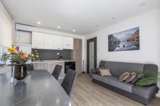 Living room and kitchen area of the apartment